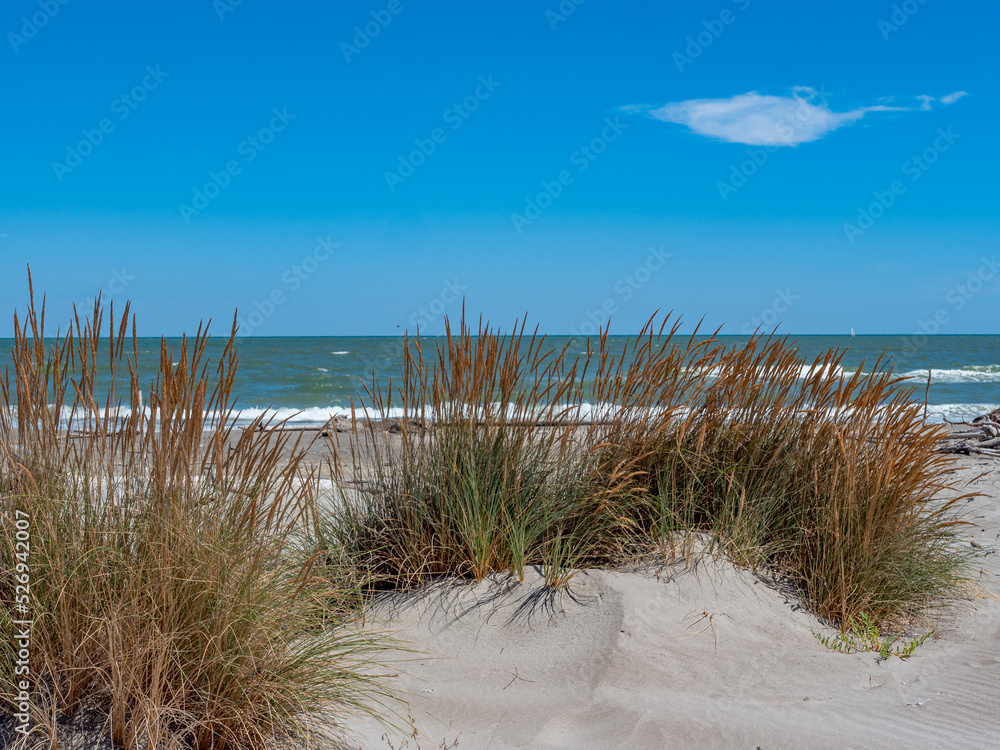Dünenlandschaft an einem Naturstrand am Mittelmeer Dünenlandschaft an einem Naturstrand am Mittelmeer