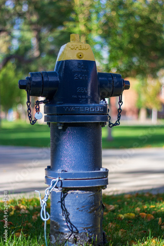 Blue and yellow fire hydrant in a park