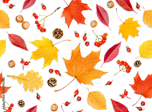 autumn seamless pattern of various leaves  cones and berries  on a white isolated background