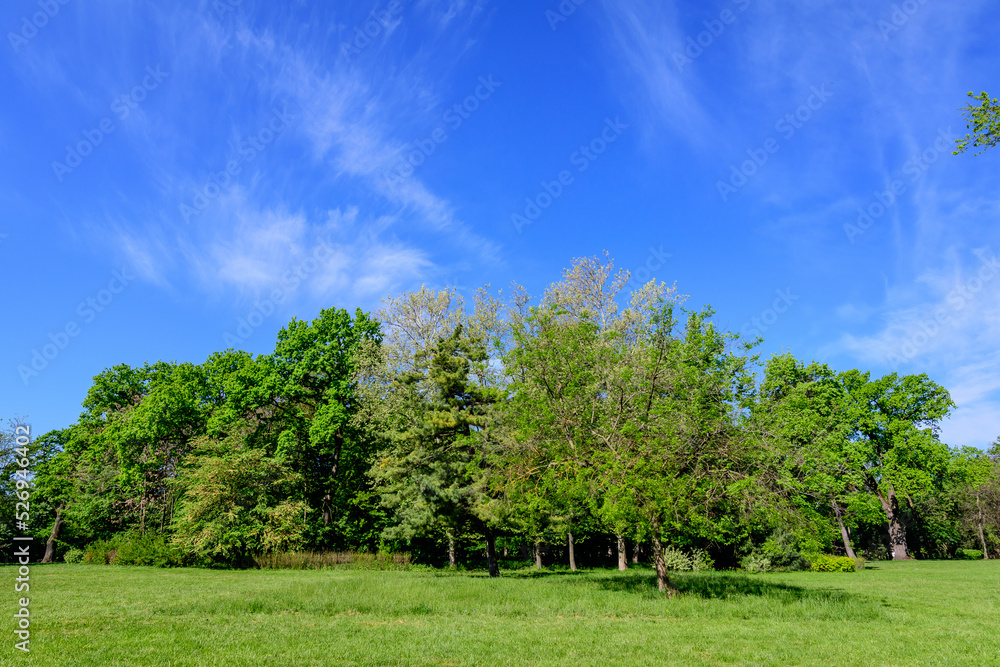 Landscape with old green trees in Mogosoaia Park (Parcul Mogosoaia), a weekend attraction close to Bucharest, Romania, in a sunny spring day. Landscape with old green trees in Mogosoaia Park (Parcul Mogosoaia), a weekend attraction close to Bucharest, Romania, in a sunny spring day.