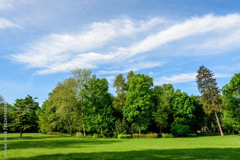 Landscape with old green trees in Mogosoaia Park (Parcul Mogosoaia), a weekend attraction close to Bucharest, Romania, in a sunny spring day.