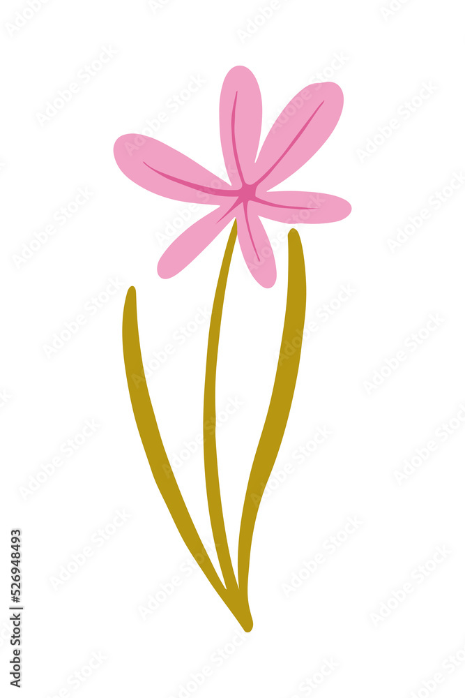 Vector illustration of Pink wild flower drawn in a flat style.