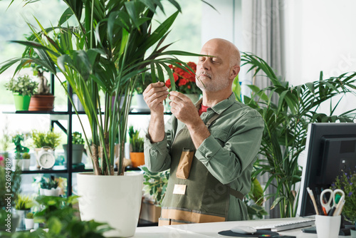 Fotografie, Obraz Expert florist and gardener checking plants in his shop