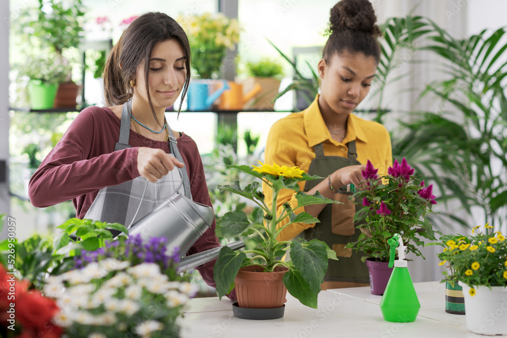 Young florists working together at the flower shop Young florists working together at the flower shop