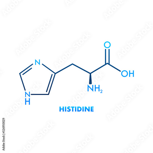 Histidine l-histidine, his, H amino acid molecule. Vector illustration photo