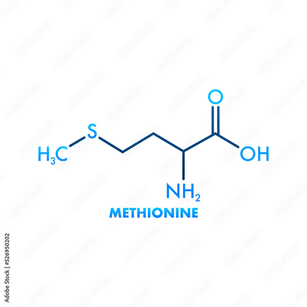 Icon with methionine formula. Amino acid molecule Icon with methionine formula. Amino acid molecule