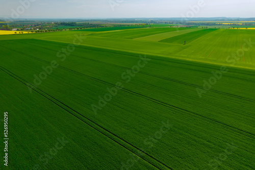 Panoramic view from the top of a wheat field in the countryside. Farm fields. © Yaroslav