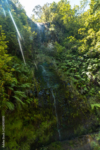 A small waterfall in summer at the Levada do Caldeirao Verde, Queimadas, Madeira