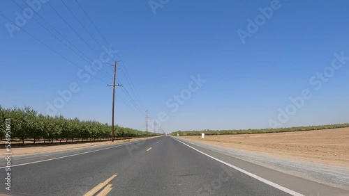 Driving alongside an orchard on a clear, sunny day - driver or passenger point of view