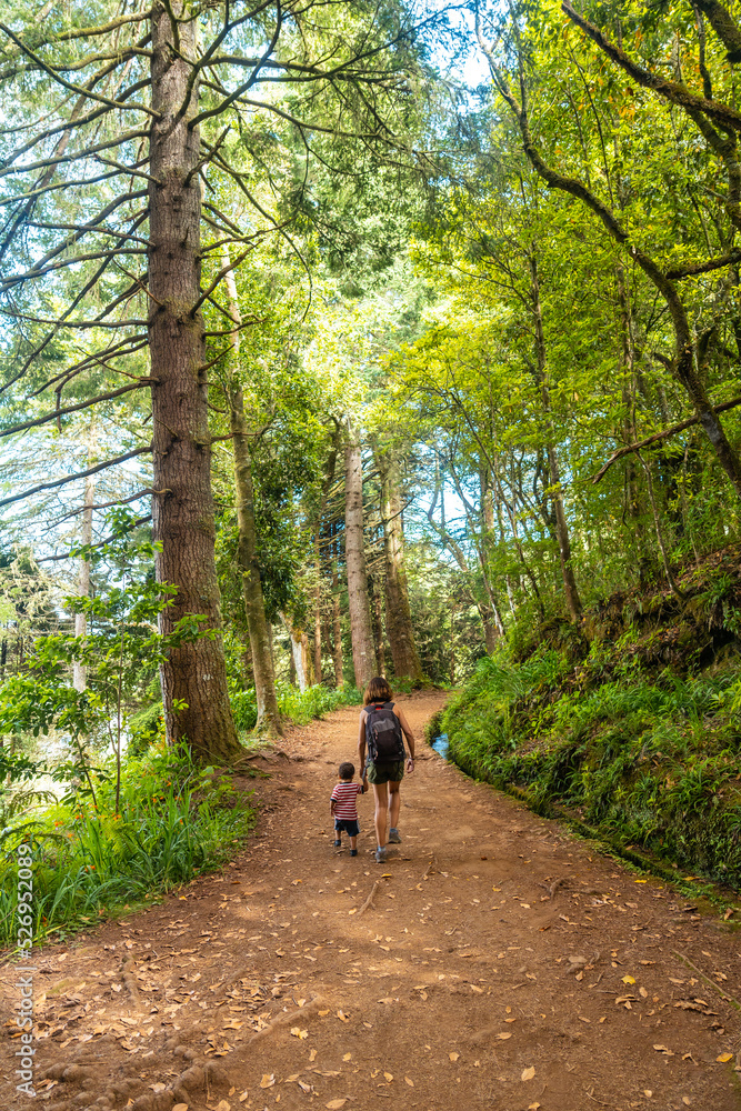 A mother with her son on the forest path in the Levada do Caldeirao Verde, Queimadas, Madeira A mother with her son on the forest path in the Levada do Caldeirao Verde, Queimadas, Madeira