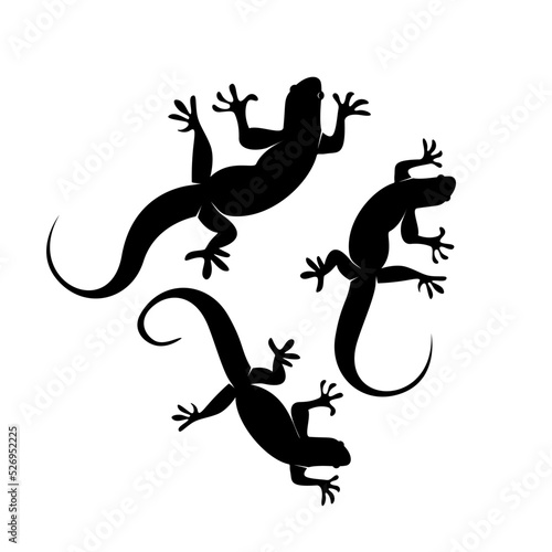 vector silhouette of a lizard with various poses