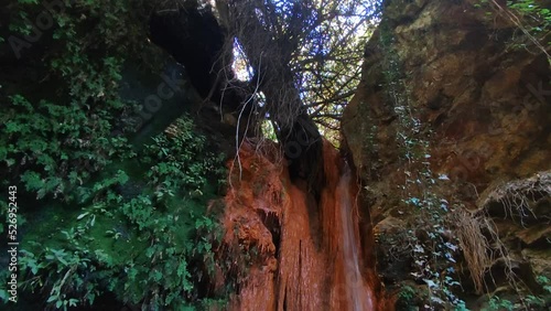 Fuente agria