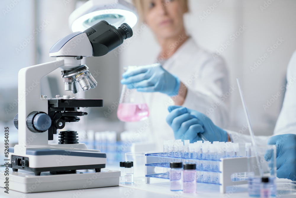 Researcher working in the laboratory Researcher working in the laboratory