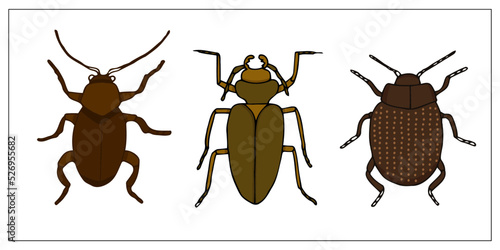 Beetles and bugs. Set of hand-drawn doodle illustration of insects. Scary and realistic bugs. Helloween decoration.