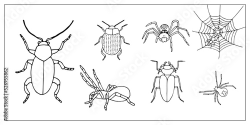 Beetles  and spiders. Set of hand-drawn doodle illustration of insects. Scary and realistic colored bugs and spiders. Halloween decoration.