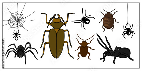 Beetles and spiders. Set of hand-drawn doodle illustration of insects. Scary and realistic colored bugs and spiders. Halloween decoration.