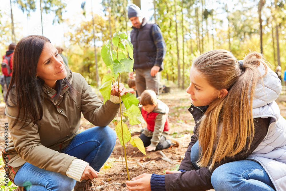 Naklejka premium Mother and daughter planting a tree together in the forest