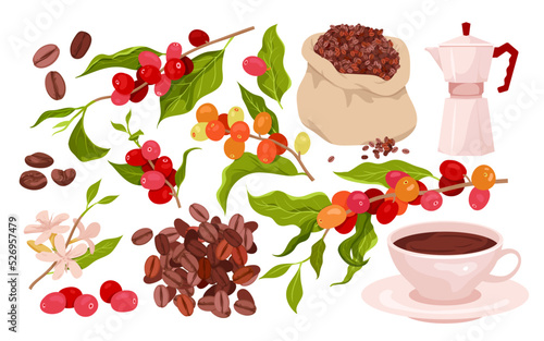 Coffee set vector illustration. Cartoon isolated red berry fruit hanging on branches of plant with green leaves and flowers on twig, bag with organic seeds, coffee maker and cup with caffeine drink