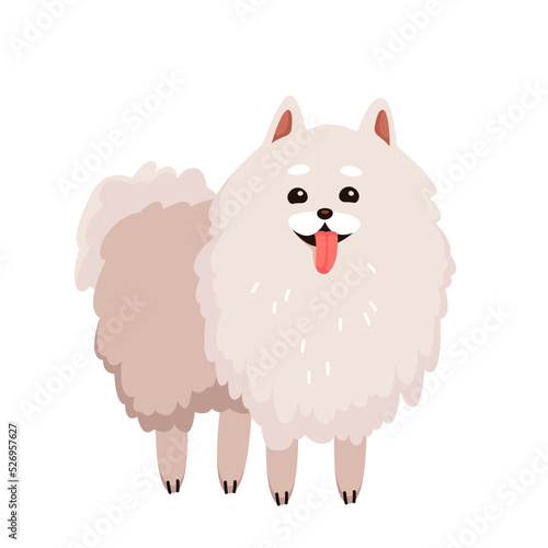 Cute funny dog spitz vector illustration. Cartoon isolated funny portrait of happy fluffy puppy character with adorable smile, paws and kawaii fur, little shaggy pretty spitz pet, doggie friend