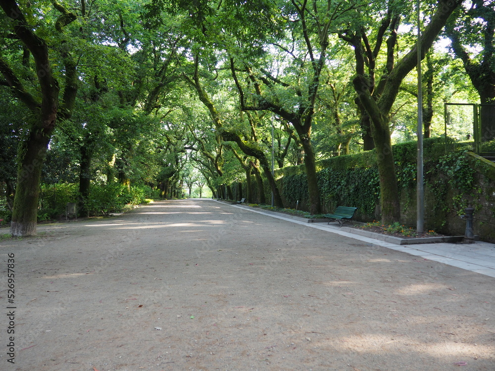 paseo del robledal en el parque de la alameda de santiago de compostela datado en el siglo diecinueve, lugar de encuentros, deportes y cultura, la coruña, galicia, españa, europa