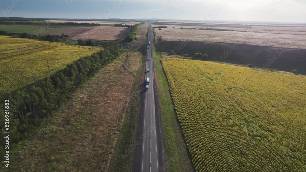 Rural road among the fields. Auto transport rides along the highway on a summer evening. Rural road among the fields. Auto transport rides along the highway on a summer evening.