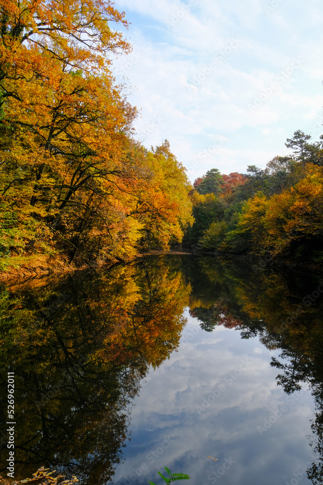 Colorful autumn in the park across the lake. Red and orange trees reflecting in the water surface. Parco natural regionale dei Boschi di Carrega, Emilia-Romagna, Italy. Vertical Colorful autumn in the park across the lake. Red and orange trees reflecting in the water surface. Parco natural regionale dei Boschi di Carrega, Emilia-Romagna, Italy. Vertical