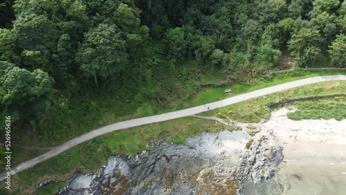 Bird's eye view of a road on Crawfordsburn beach covered with greenery in Ulster, Northern Ireland photo