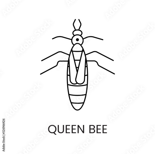 Queen bee icon in lines, vector illustration