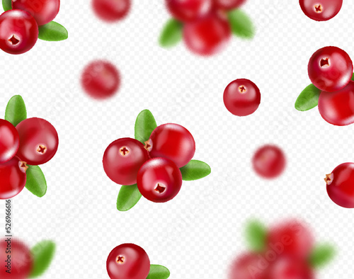 Falling cranberry isolated on transparent background, Blurred cranberries and leaves 3d illustration