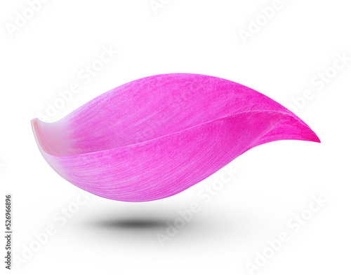 Obraz na płótnie Lotus petal isolated on transparent background. (.PNG)