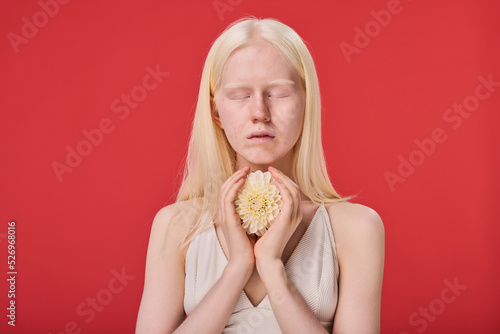 Portrait of young albino girl with natural beauty holding white flower with her eyes closed isolated on red background