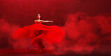 A young graceful ballerina, dressed in pointe shoes and a weightless red skirt, demonstrates her dancing skills. The beauty of classical ballet.