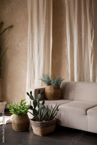 Comfortable couch in spacious living room interior with green plants  real photo with copy space on the empty wall