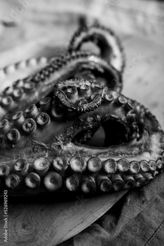 Fotografiet Octopus
