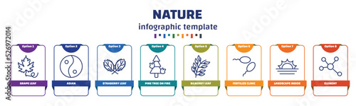 infographic template with icons and 8 options or steps. infographic for nature concept. included grape leaf, asian, straberry leaf, pine tree on fire, bilberry leaf, fertilize clinic, landscape