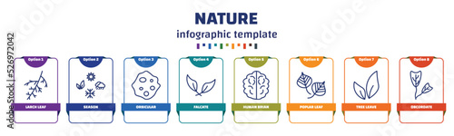 infographic template with icons and 8 options or steps. infographic for nature concept. included larch leaf, season, orbicular, falcate, human brian, poplar leaf, tree leave, obcordate icons.