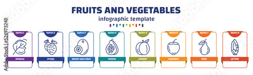 infographic template with icons and 8 options or steps. infographic for fruits and vegetables concept. included spinach, lychee, breast milk fruit, papaya, apricot, hazelnut, pear, lettuce icons.