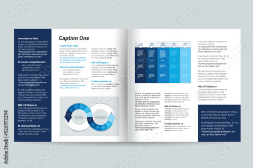 Layout, page template, brochure, text page.