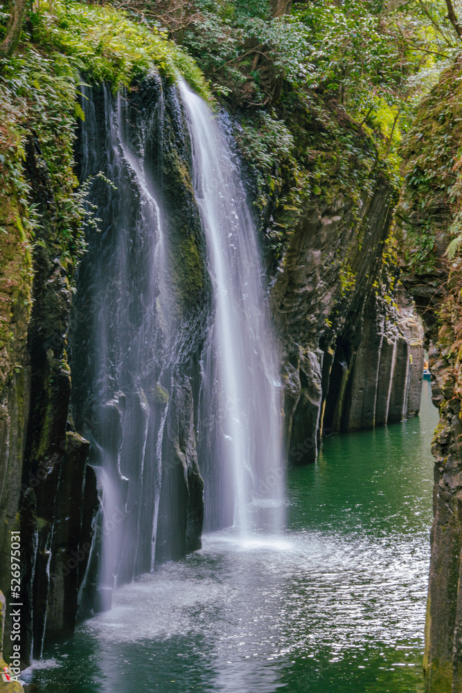 Fototapeta premium waterfall in the forest