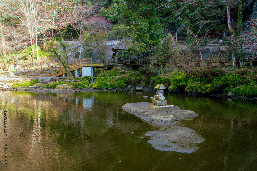 pond with ducks