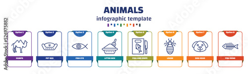 infographic template with icons and 8 options or steps. infographic for animals concept. included humps, pet bed, fish eye, litter box, fish and knife, louse, dog head, fish bone icons.