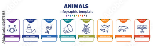 infographic template with icons and 8 options or steps. infographic for animals concept. included crab, baby chicken, drunk, elizabethan collar, ladybird, moon and bats, tapir, leash icons.