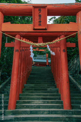 japanese garden gate