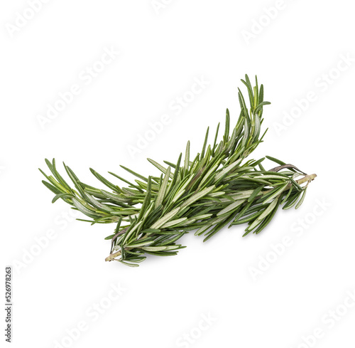 Rosemary isolated on transparent background. (.PNG)
