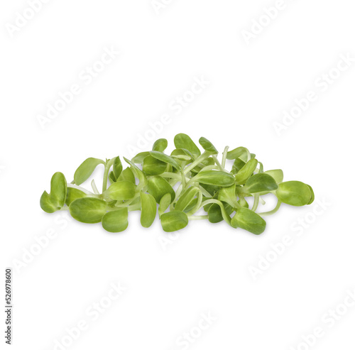 фотографія Fresh green young sunflower sprouts isolated on transparent background