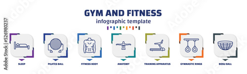 infographic template with icons and 7 options or steps. infographic for gym and fitness concept. included sleep, pilates ball, fitness body, anatomy, training apparatus, gymnastic rings, bosu ball