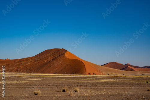 huge sand dunes in the Namib Desert with trees in the foreground of Namibia