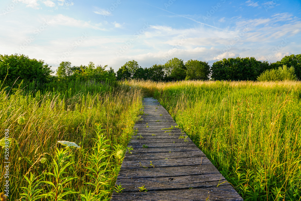 Fototapeta premium Oberwerrieser Mersch nature reserve near Hamm. landscape near the Lippe. 