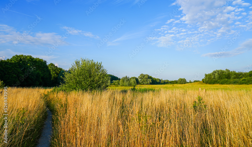 Fototapeta premium Oberwerrieser Mersch nature reserve near Hamm. landscape near the Lippe. 