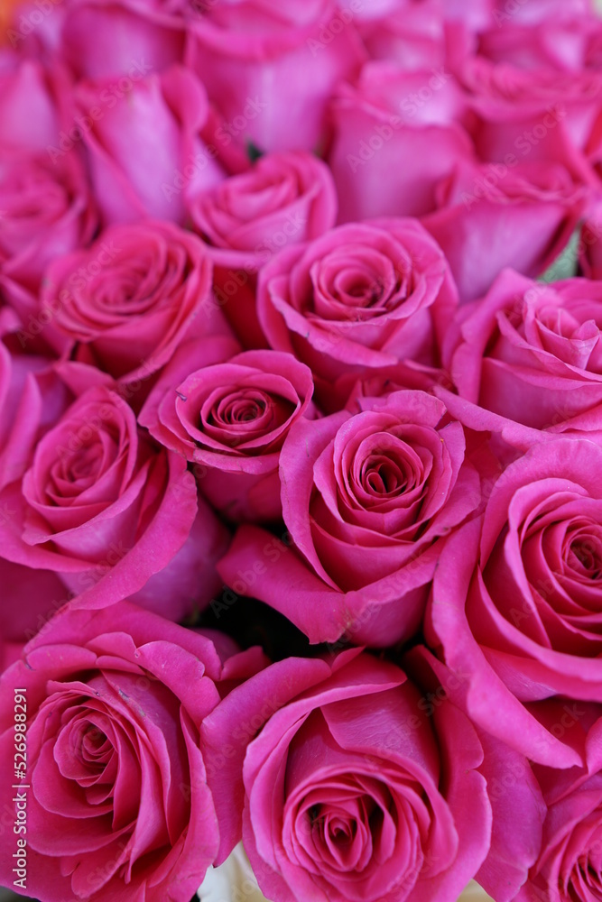 pink roses bouquet pink roses bouquet